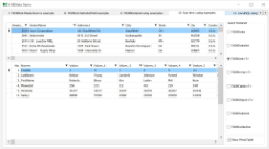 X-DBData Demo 10 PivotTable