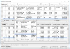 X-DBGridTestFDX TreeView